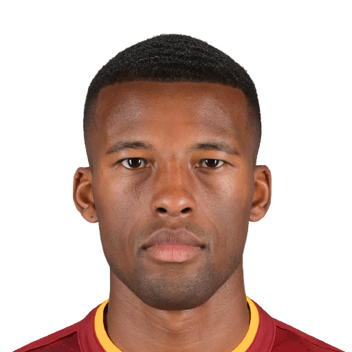 G. Wijnaldum