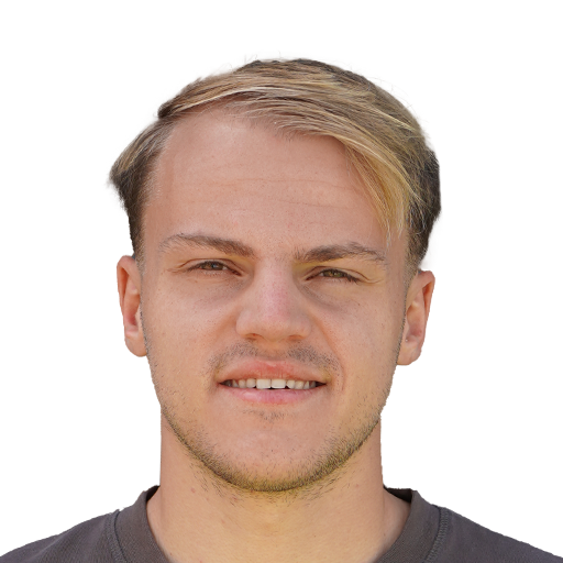 T. van den Belt