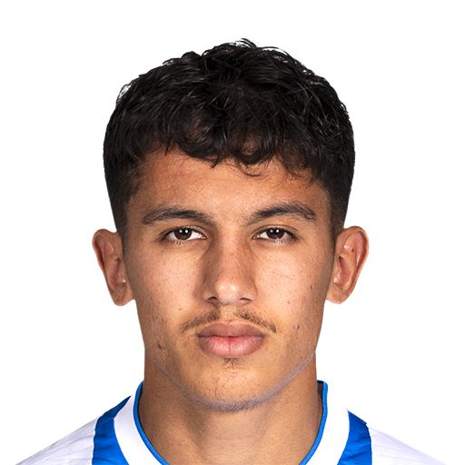 O. Sahraoui
