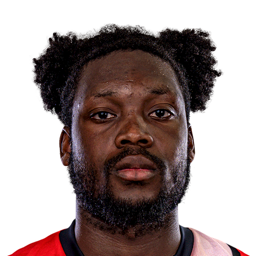 T. Mengi