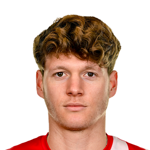 N. Pijnaker