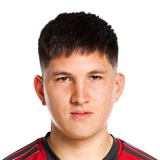 F. Ibarra