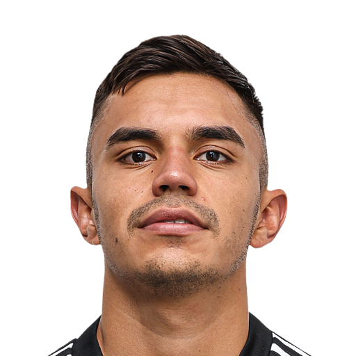 V. Pizarro