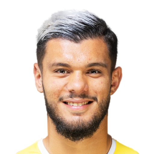 T. Boulhendi
