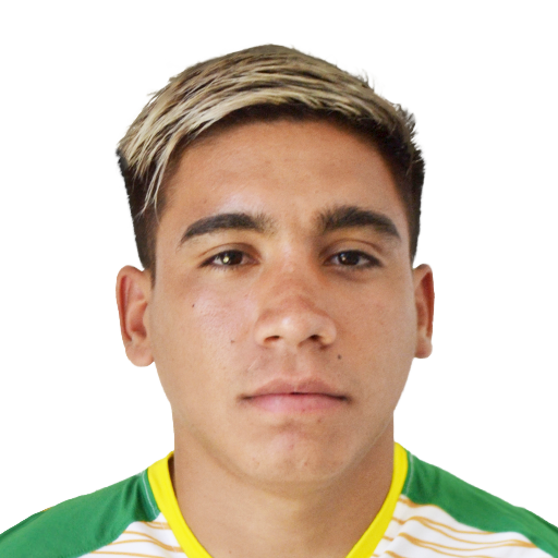 P. Ramírez