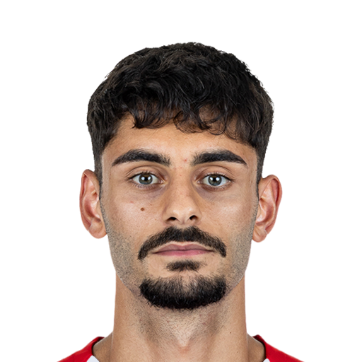E. Dinkçi