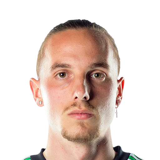 Ž. Kolmanič