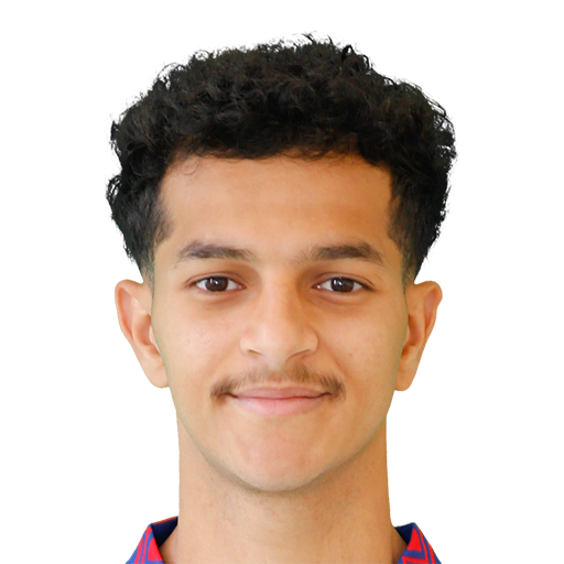 N. Al Saadi