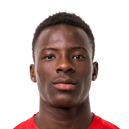 L. Coulibaly