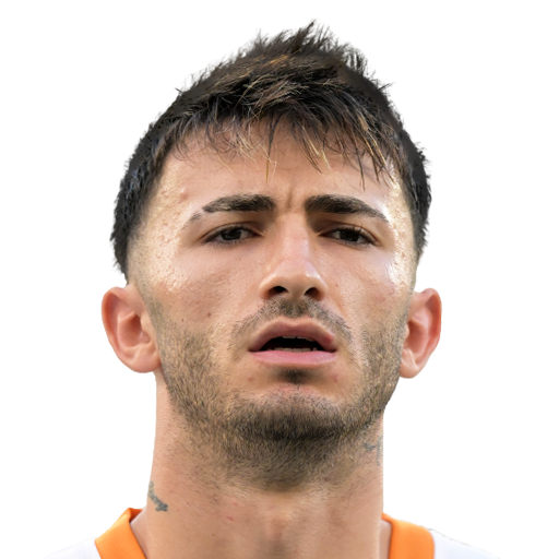 Y. Özdemir