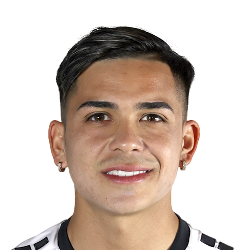 N. Meza