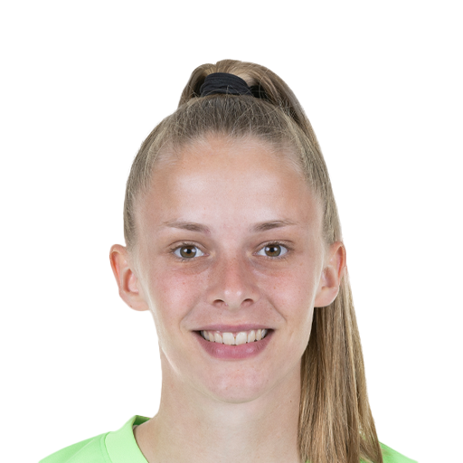 V. Endemann