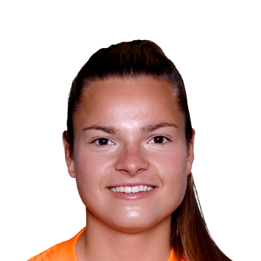 K. van Dooren