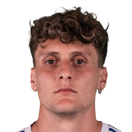 G. Piccinini
