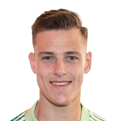 R. Vitek