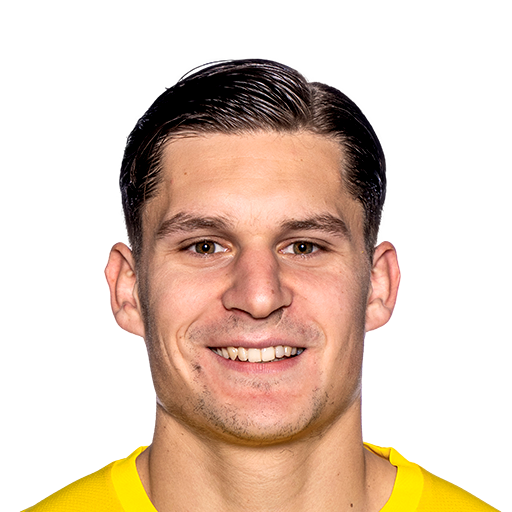 N. Žugelj