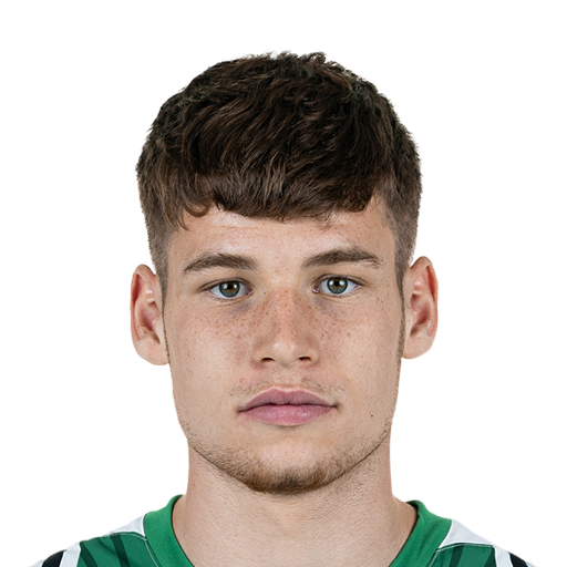 L. Ullrich