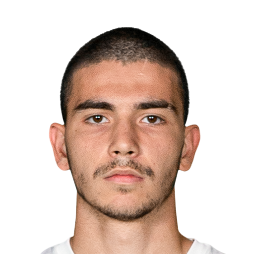 Y. Özcan