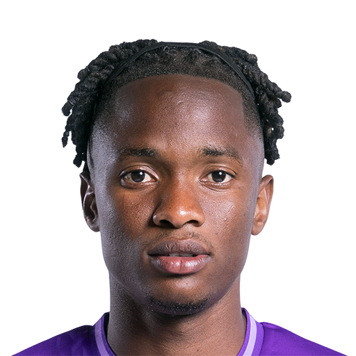 M. N'Diaye