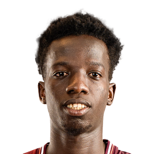 P. Diallo