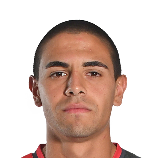D. Sotelo