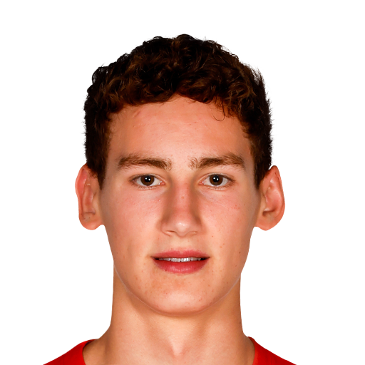 R. van Bommel