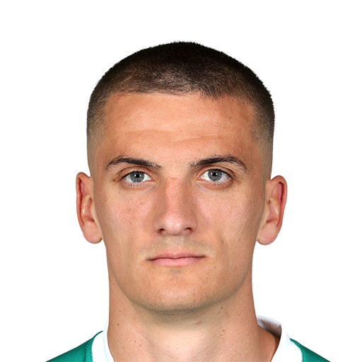N. Cvetković