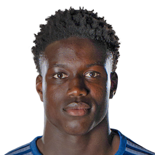 N. Mendy