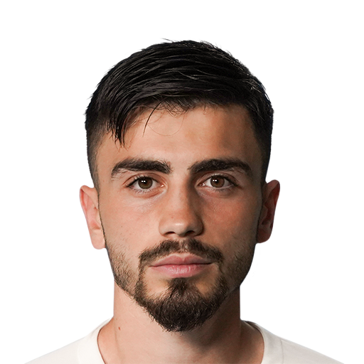 T. Şahin
