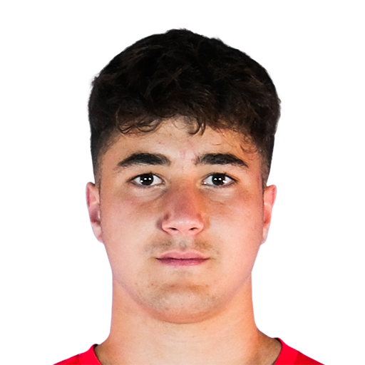 D. Ertaş