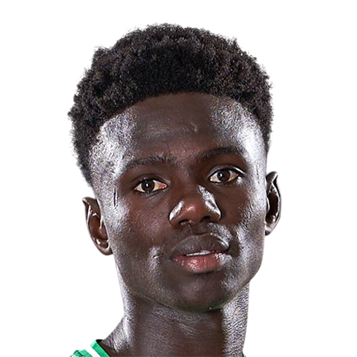 Cheikh Fall