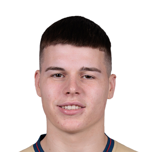 J. Vidić