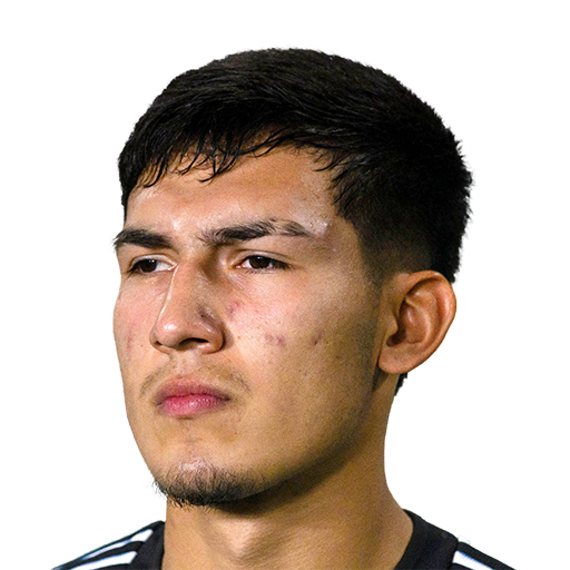 T. Ramirez Cardozo