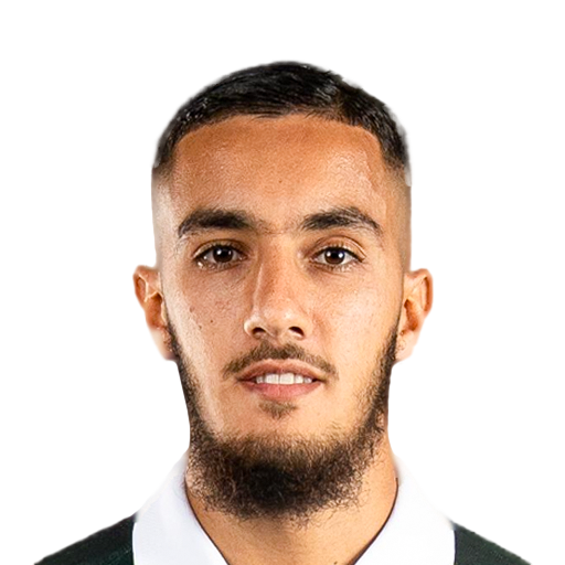 M. Ifnaoui