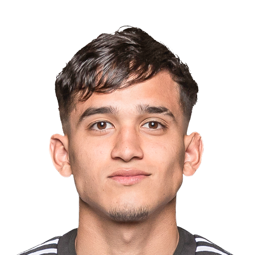 D. Gorosito