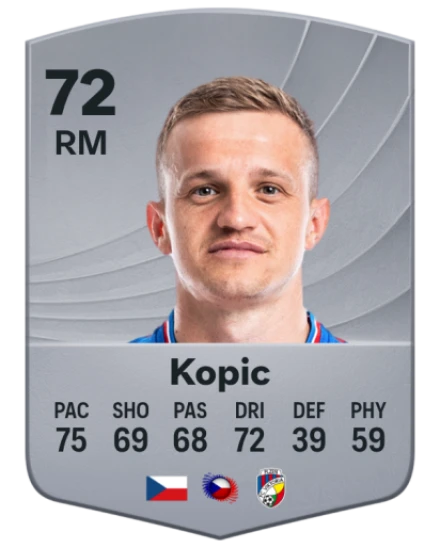 Player card