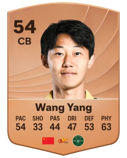 Yang Wang card