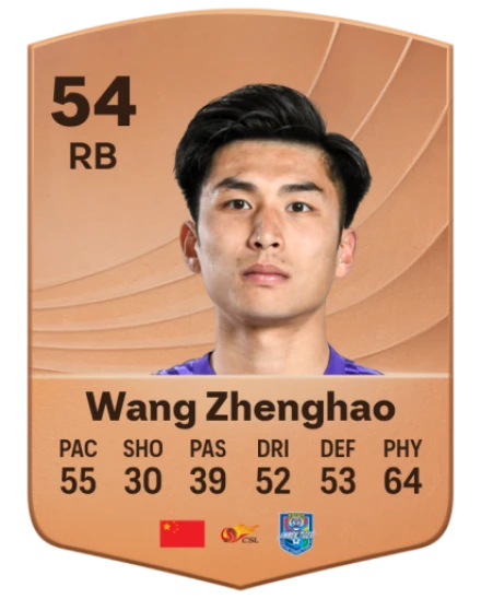 Zhenghao Wang card
