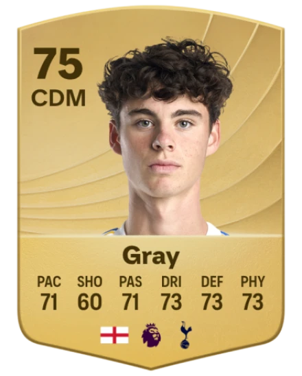 Player card