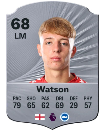 Player card