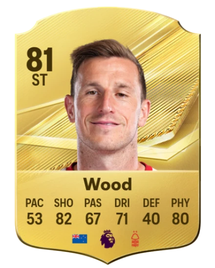 Player card