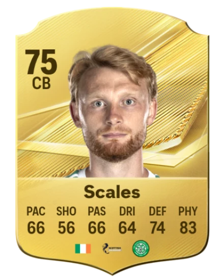 Player card
