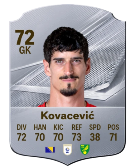 Player card
