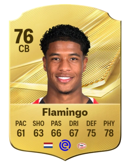 Player card