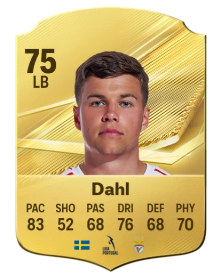 Player card