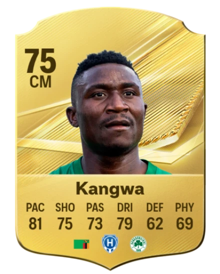 Player card