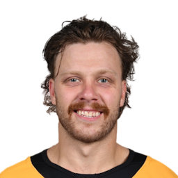 David Pastrnak